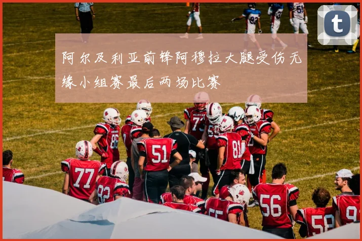 阿尔及利亚前锋阿穆拉大腿受伤无缘小组赛最后两场比赛
